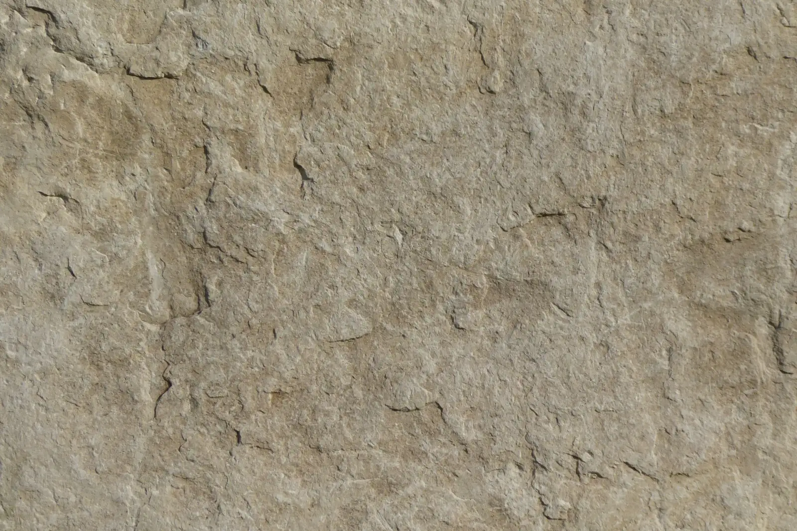 Warm beige travertine natural stone surface